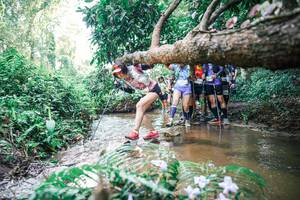 BIB: 
                            <button type="button" onclick="openModal(25470819)" class="btn btn-primary btn-sm float-right btn-popup" data-toggle="modal" data-target=".modal-high-quality">
                        <i class="fas fa-shopping-cart"></i> Add to Cart
                    </button>
                                            <button type="button" onclick="isThisMe(25470819, true)" class="btn btn-success btn-sm float-right btn-popup btn-isme hidden" data-toggle="tooltip" data-placement="bottom" title="นี่คือรูปของคุณใช่ไหม คลิกที่นี่เพื่อเอาเข้าอัลบั้ม">
                        <i class="fas fa-plus"></i> Add to album
                    </button>
                    <button type="button" onclick="isThisMe(25470819, false)" class="btn btn-warning btn-sm float-right btn-popup btn-isnotme hidden">
                        <i class="fas fa-ban"></i> Remove from album
                    </button>